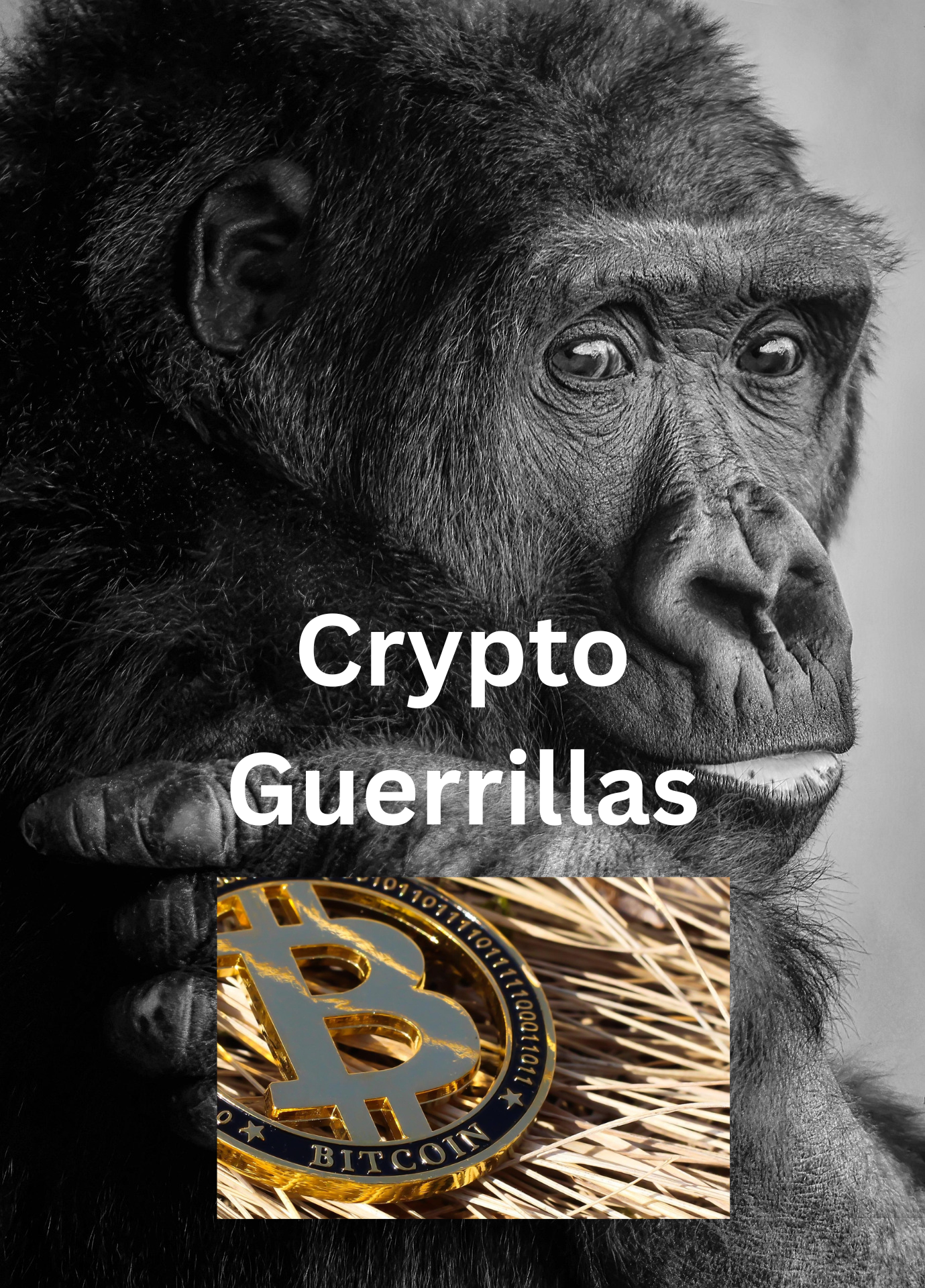 Crypto Guerrillas